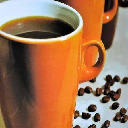 Gorch-fock-park Nr 12